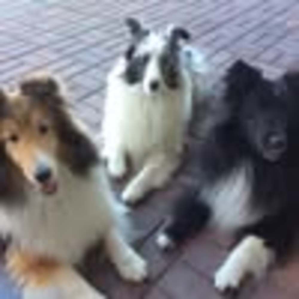 Meet your Posher, Caroline